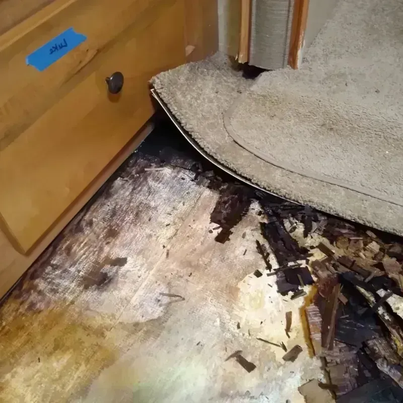 Wood Floor Water Damage in Boone County, MO